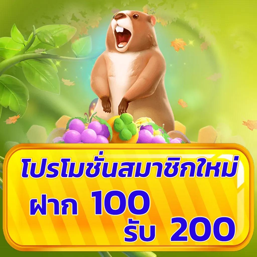 เว็บสล็อตออนไลน์ เว็บตรง สล็อต ฝากถอนออโต้ ไม่ผ่านเอเย่นต์ 2026
